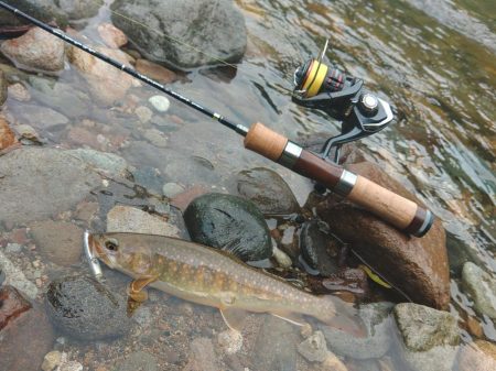 ダートマジックで尺イワナ ～九頭竜川水系～